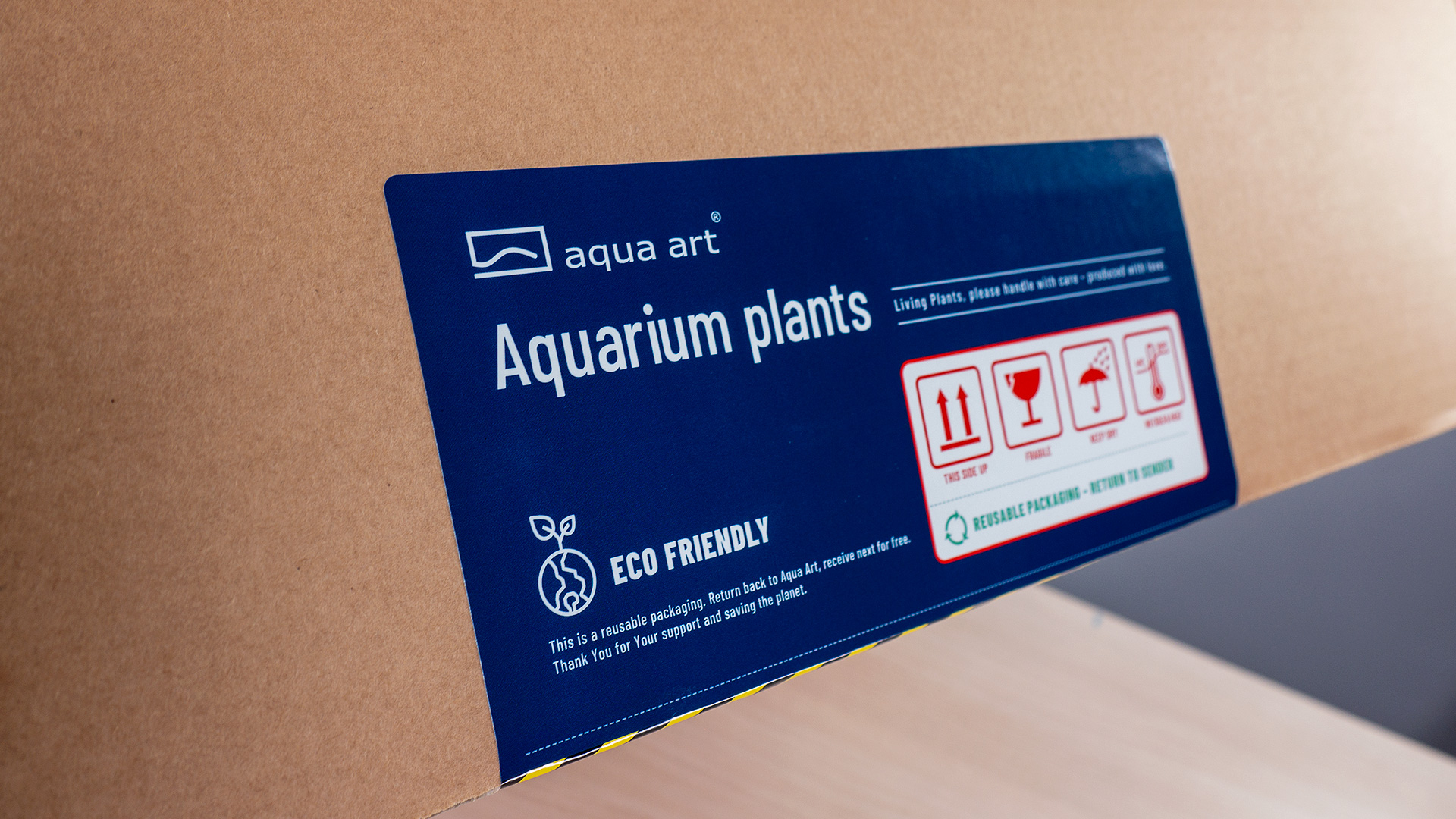 Aqua Art -8 — kopia.jpg